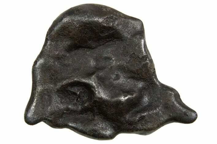 Fusion Crusted Sikhote-Alin Iron Meteorite ( g) - Russia #334587